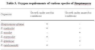 lab report example