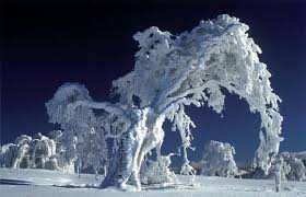 Snow storm