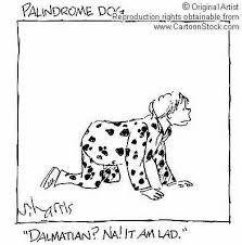 Favorites - Palindrome Dog