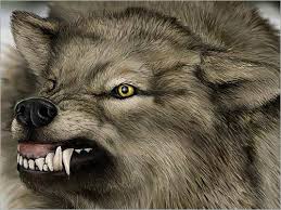 الحيوان الذى تخشاه الجن لانه ياكل الجن Wolf1