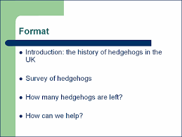 outline example