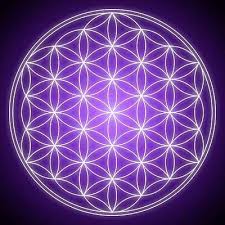 flower of life picture