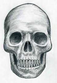 how to draw skulls
