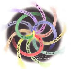 dimensions of wellness