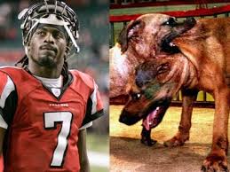 Dog-fighter Michael Vick