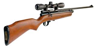 custom air rifles