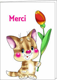 Afficher l'image en taille réelle