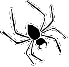 spider-2.png