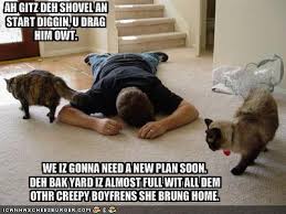 funny boyfriend sayings