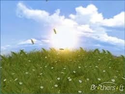 animated flower wallpaper