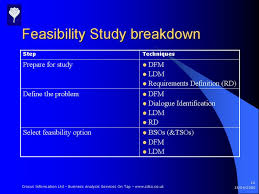 feasibility study example