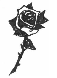 black rose