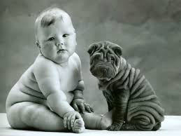 funny pictures for kids