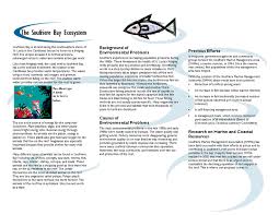 example of a brochure