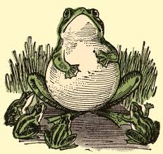 Frog Cartoons - Image 5