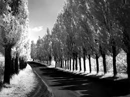Uzun �nce Bir Yolday�m Dinle