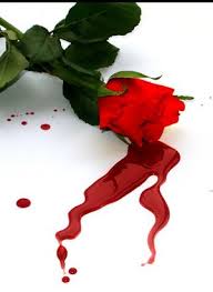 bleedingrosext6.jpg