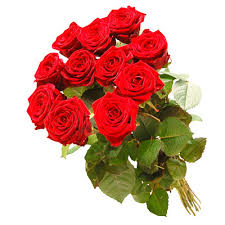 http://t3.gstatic.com/images?q=tbn:zLnrz3bzfXct8M%3Ahttp://www.e-kwiaty.pl/images/br017-d.jpg