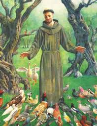 saint francis of assisi