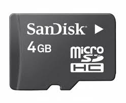 2273_sandisc-microsd-card-4gb-sdhc_080701121240.jpg