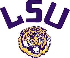LSU 2002 DEFENSIVE PLAYBOOK