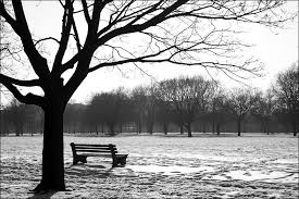 park bench