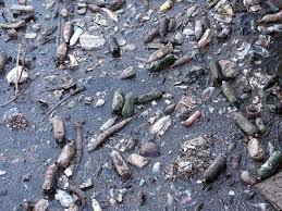 Ver imagen en tamaño completo