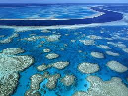 شباب يلا نتفسح ج1 Great_Barrier_Reef_Marine_Park_Queensland_Australia