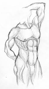 drawing muscles