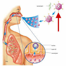 Causes Cystic Fibrosis