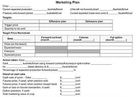 marketing plan example