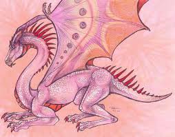 pink dragons