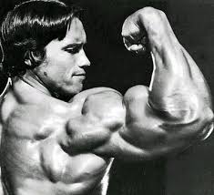 Arnold Schwarzenegger realized