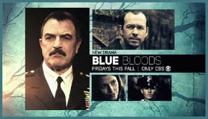 Blue Bloods Upcoming Series on