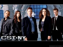CSI NY Season 1-6 Dvd Boxset