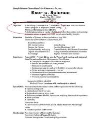 example resume objectives