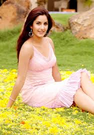 Katrina Kaif and stunt hero