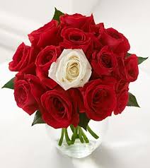 red white roses