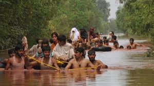 Afficher l'image en taille réelle