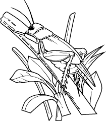 coloring pictures bugs