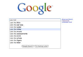 funny google searches