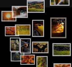 galeria de fotos