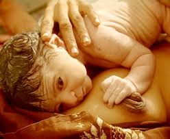Merawat Bayi Baru Lahir