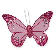 pink butterfly glitter
