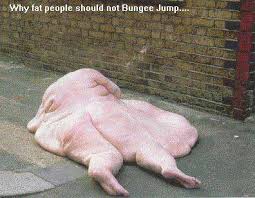 funny pics of fat people