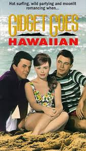 Gidget Goes Hawaiian (1961) .