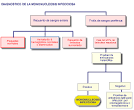<b>MONONUCLEOSIS INFECCIOSa</b>
