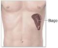 <b>hiperesplenismo</b> e