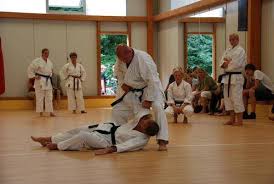 Hobby - Karate - Andrea Häusler - Ohje, in 25 Jahren Karate ...