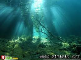 اعماق المحيطات كائنات وصور خيالية  Images?q=tbn:ANd9GcQ41LfqR-Etdp8VlYY9pL_NC3dcAoxGmZoo7za6akbCdawbcmSL